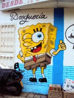 /album/fotogaleria/dsc05419-jpg/